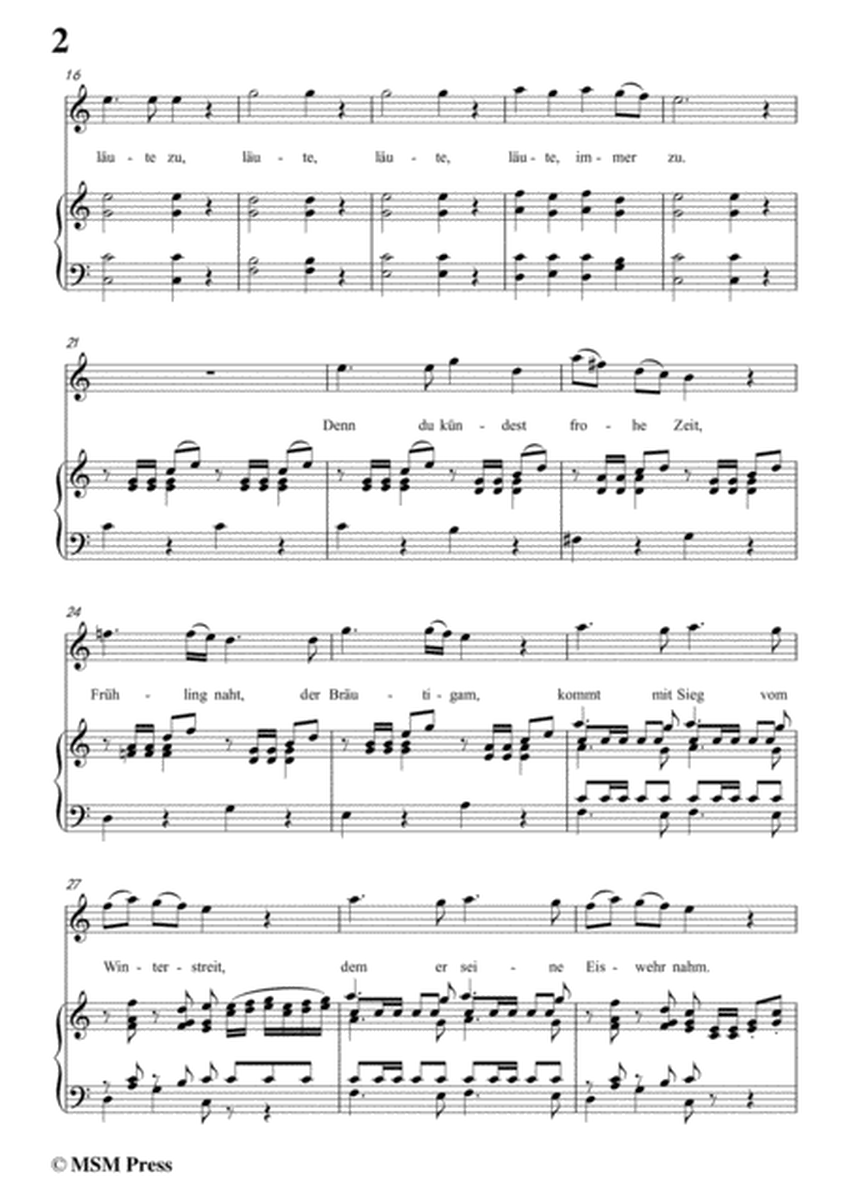 Schubert-Viola(Violet),Op.123(D.786),in C Major,for Voice&Piano image number null