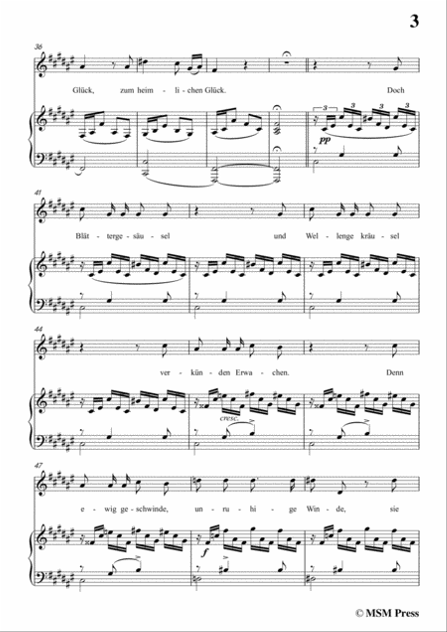 Schubert-Beim Winde,in f sharp minor,for Voice&Piano Voice scores gallery preview page 5