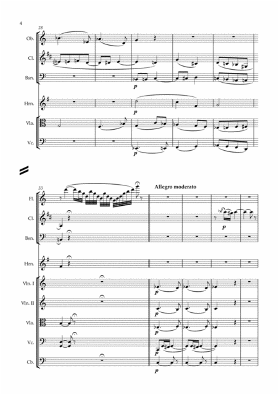 Der Zigeunerbaron Ouverture - arr. for chamber orchestra