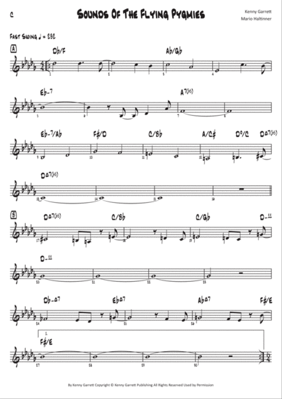 Sounds Of The Flying Pygmies Piano scores gallery preview page 4