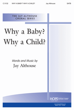 Book cover for Why a Baby? Why a Child?