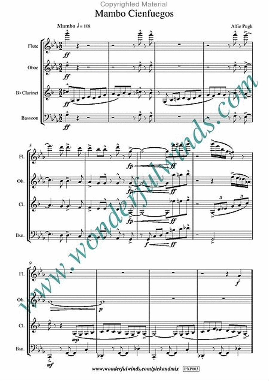 Mambo Cienfuegos Bassoon scores gallery preview page 2