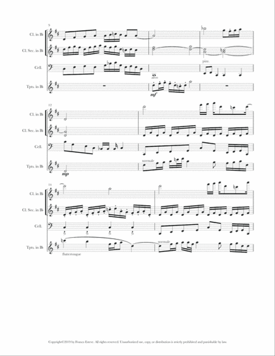 The Hunt Chamber Orchestra scores gallery preview page 3
