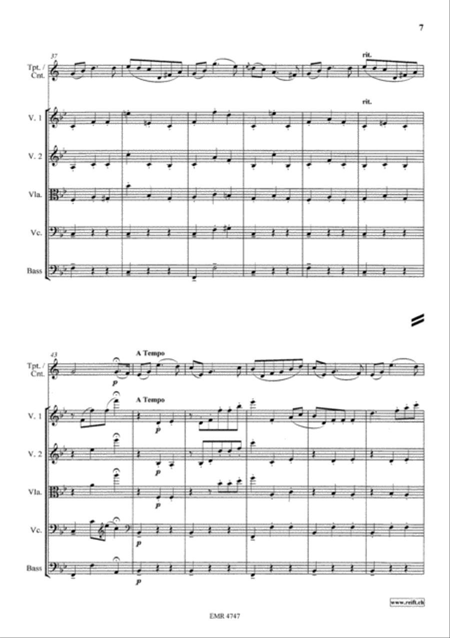 Variations On The Tyrolienne String Orchestra scores gallery preview page 7