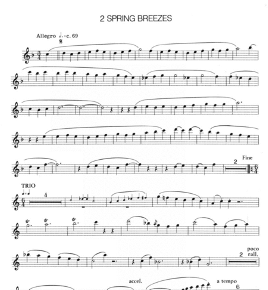 Skally Skarekrow's Whistling Book Alto Recorder scores gallery preview page 2