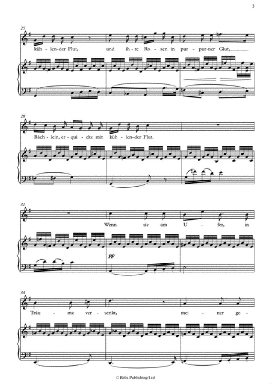 Schwanengesang, D. 957 Voice Solo scores gallery preview page 4