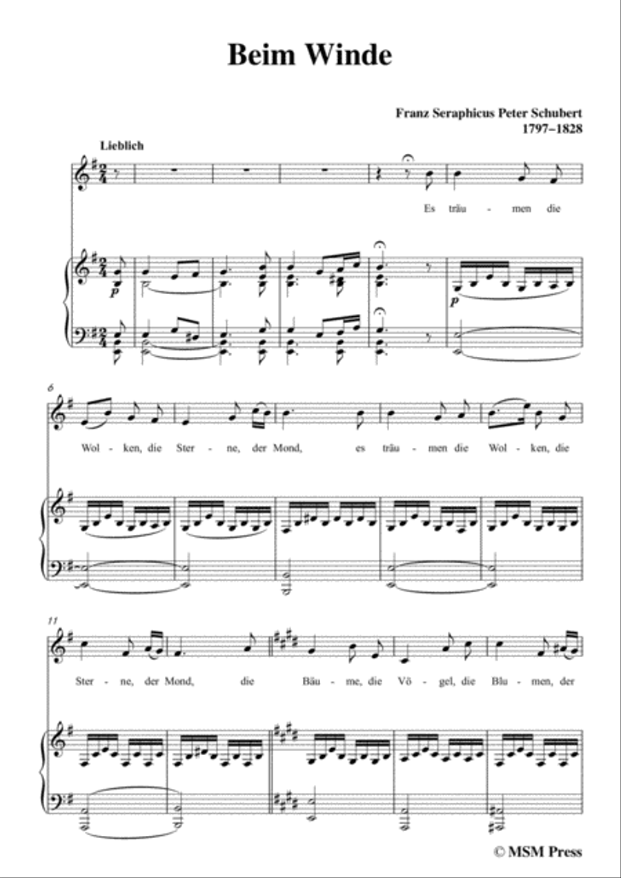 Schubert-Beim Winde,in e minor,for Voice&Piano Voice scores gallery preview page 3