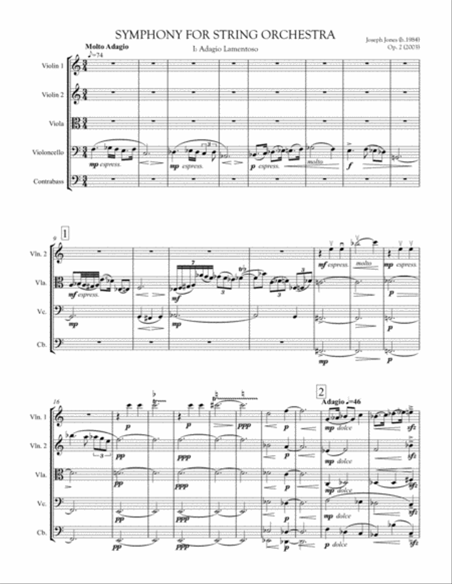 Symphony for String Orchestra, Op. 2 String Orchestra scores gallery preview page 1