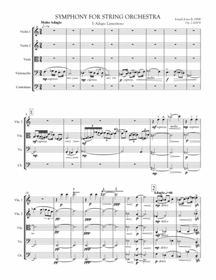 Symphony for String Orchestra, Op. 2
