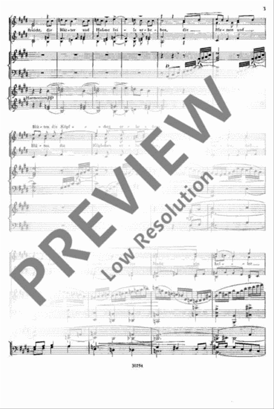 Weihnachtslieder Children's Choir scores gallery preview page 4