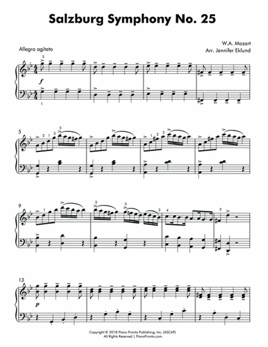 Salzburg Symphony No. 25 (Movement 1 Theme) image number null