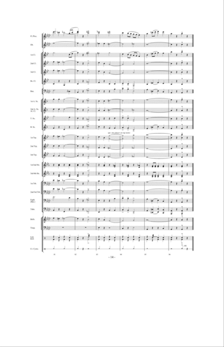Burma Patrol Concert Band scores gallery preview page 13