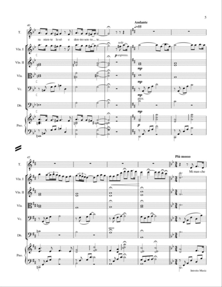 Mi Mancherai Chamber Orchestra scores gallery preview page 5