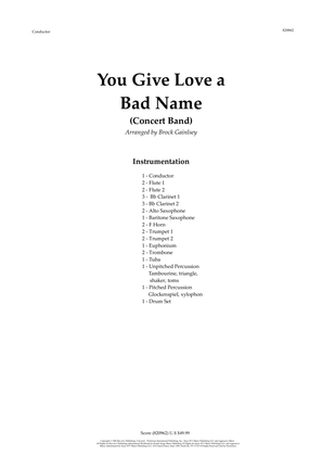Book cover for You Give Love A Bad Name