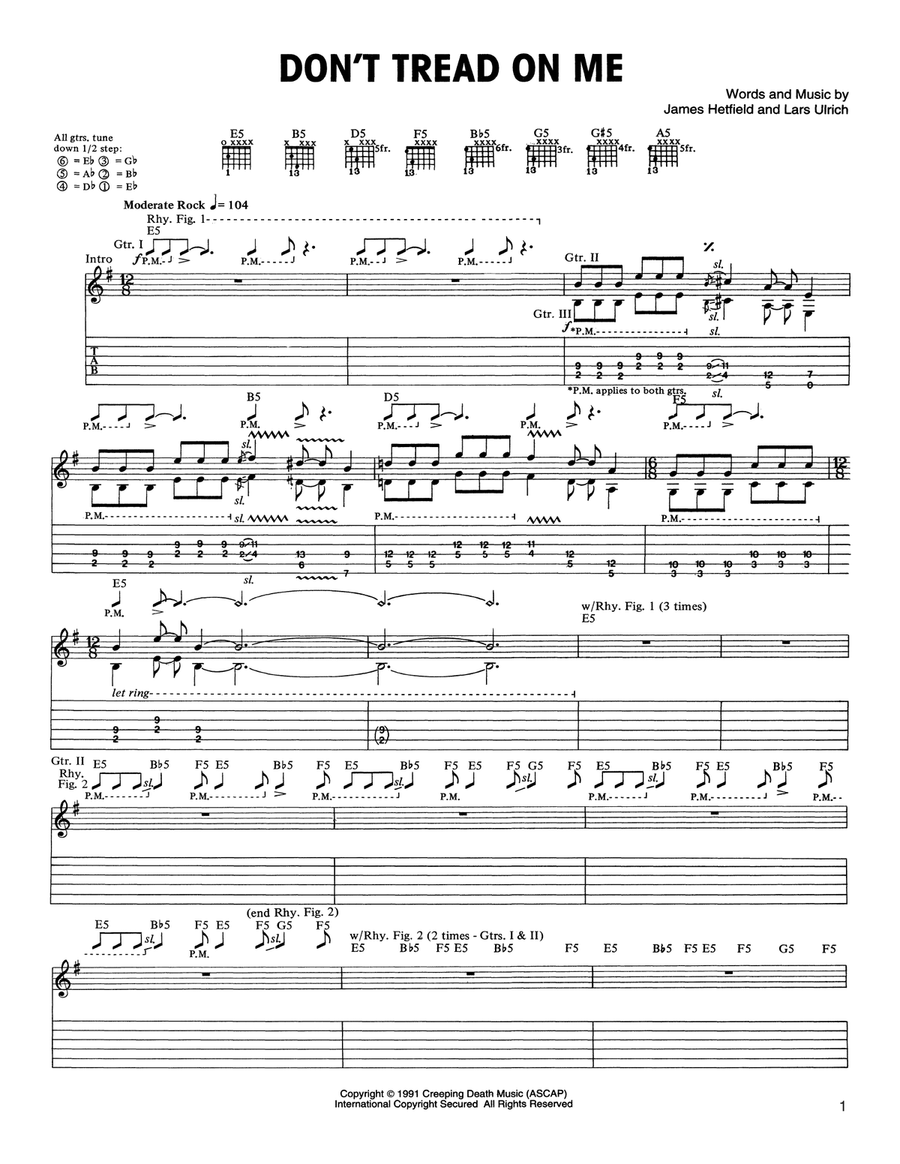 Don't Tread On Me Acoustic Guitar scores gallery preview page 1