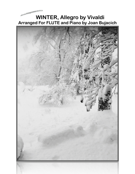 Winter (Allegro) from Vivaldi's Four Seasons for Solo Flute and Piano image number null