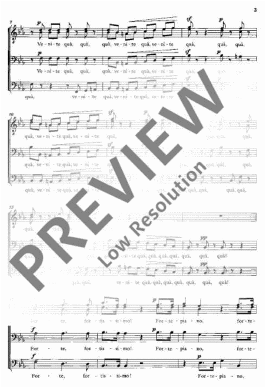Insalata Italiana Insalata Italiana TTBB scores gallery preview page 4