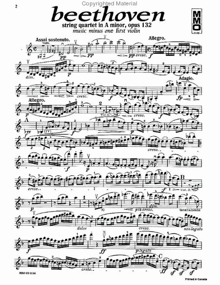 Beethoven - String Quartet in A Minor, Op. 132 image number null