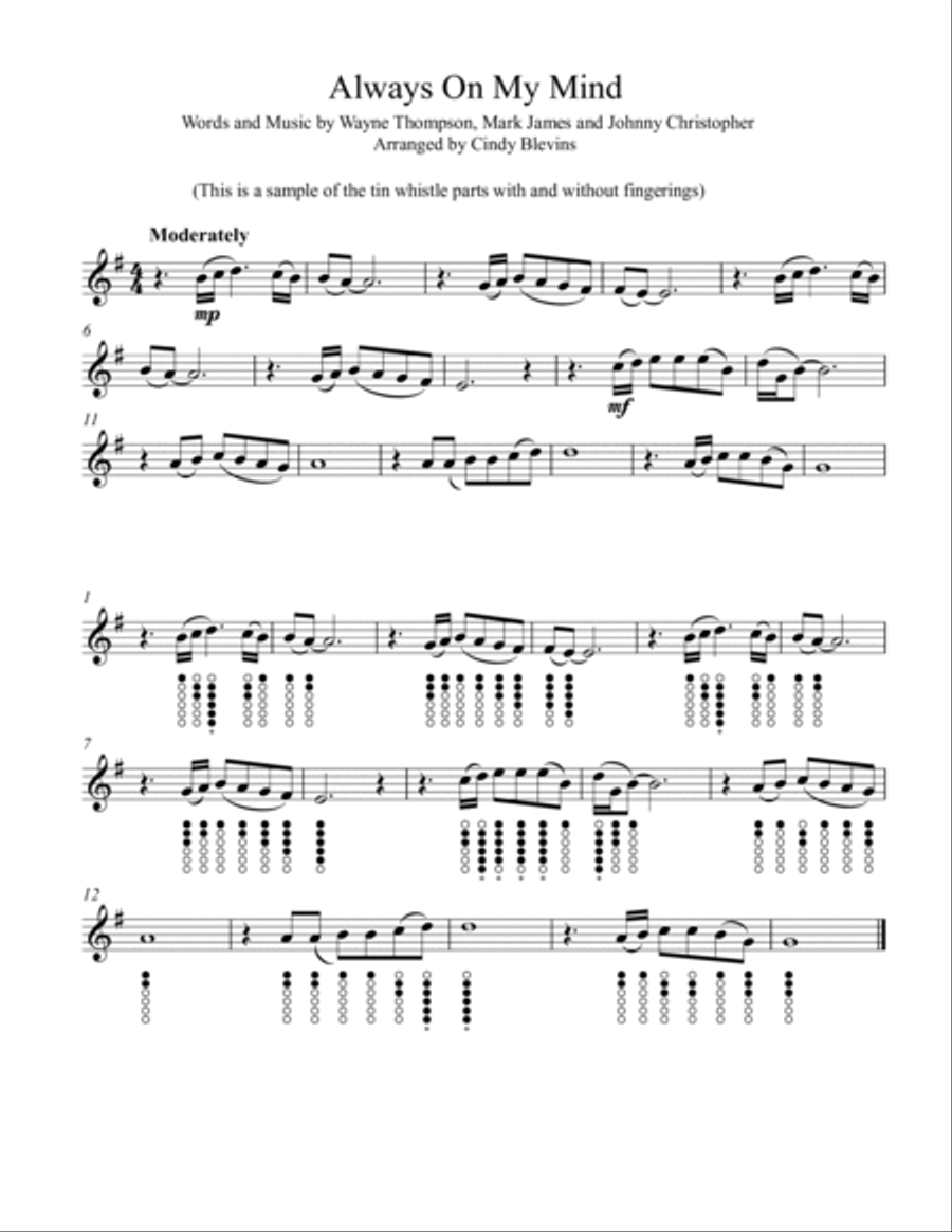 Always On My Mind Tin Whistle scores gallery preview page 2