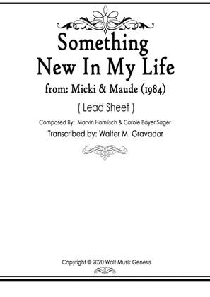 Book cover for Micki And Maude Something New In My Life