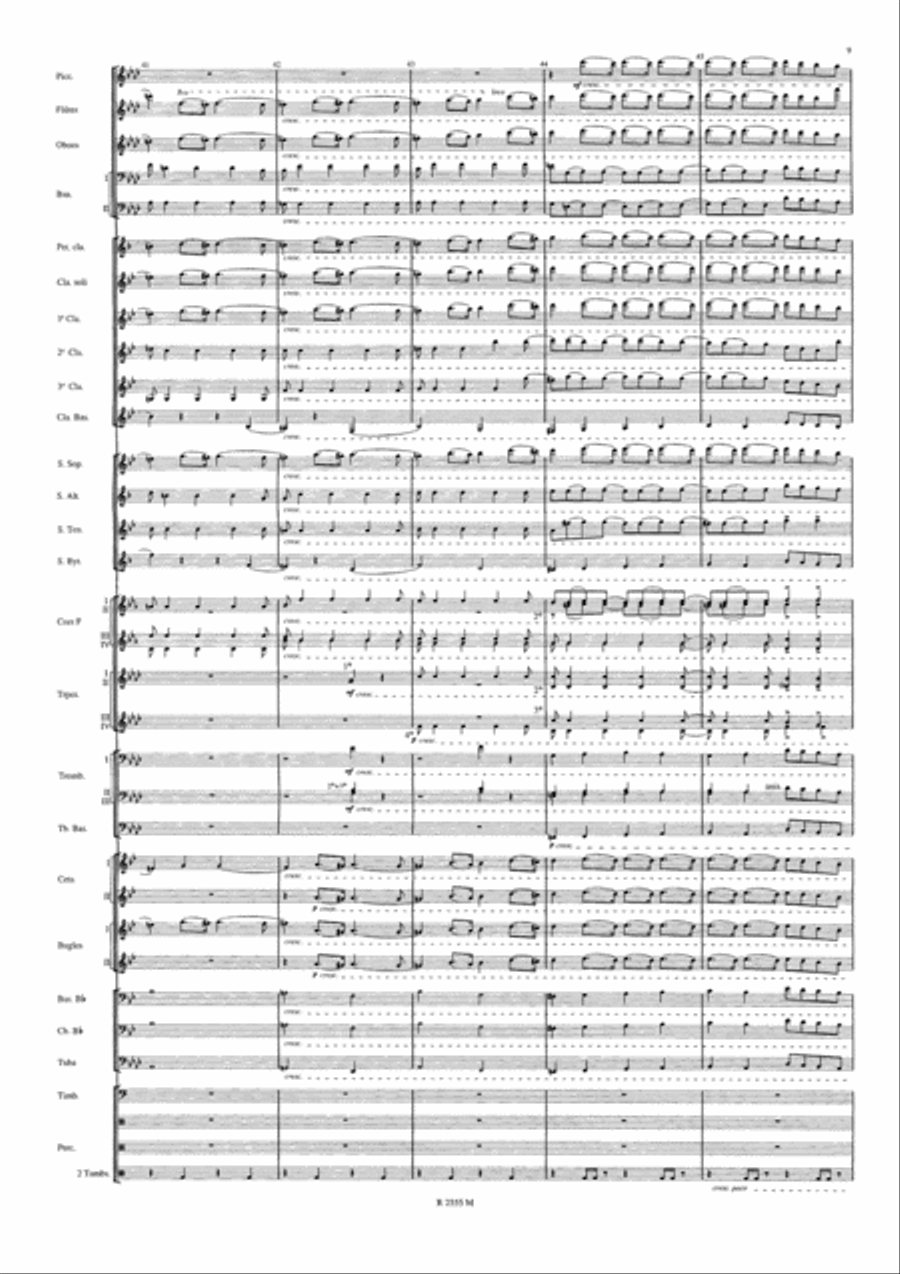 Symphonie Funebre et Triomphale Concert Band scores gallery preview page 10