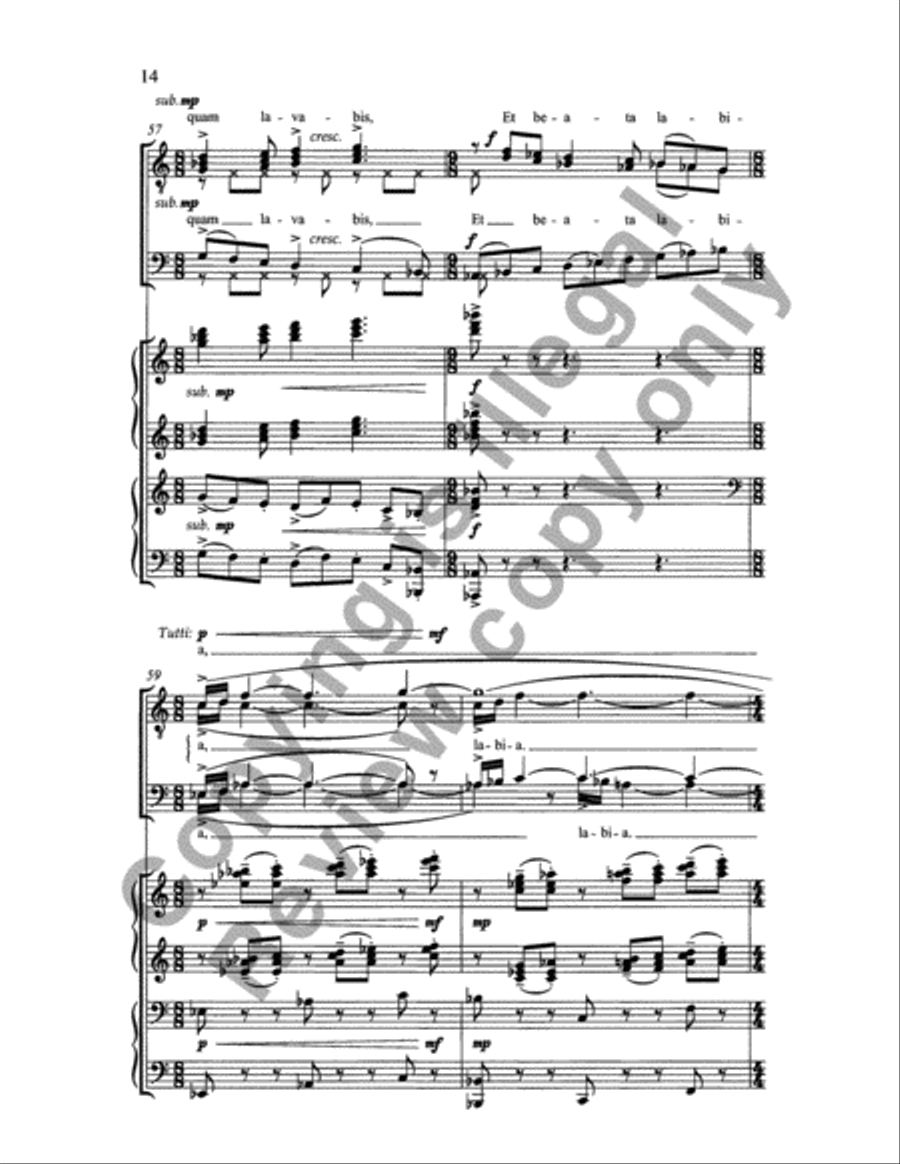 Carmina Juventutis: Drinking Song (Vinum bonum) TTBB scores gallery preview page 13