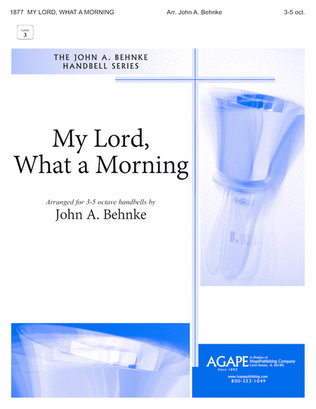 Book cover for My Lord What a Morning