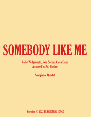 Book cover for Somebody Like Me