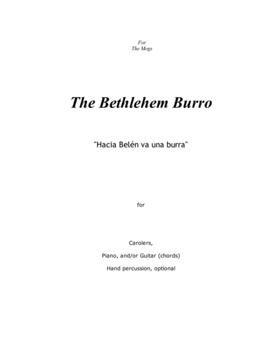 The Bethlehem Burro