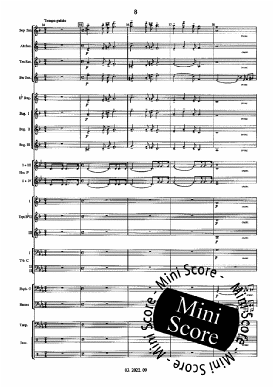 Hungarian Fantasy Fanfare Band scores gallery preview page 12