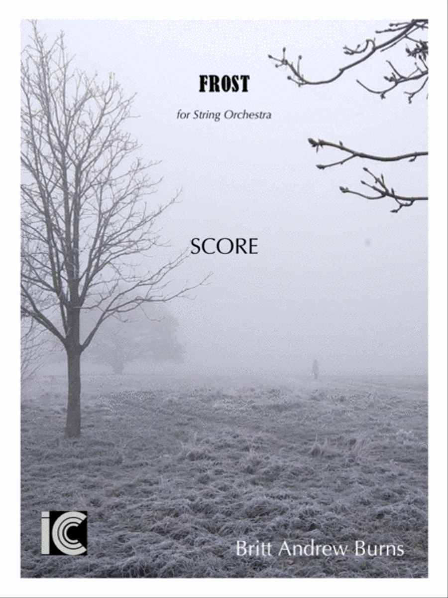 Forst - for String Orchestra String Orchestra scores gallery preview page 3