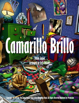 Book cover for Camarillo Brillo