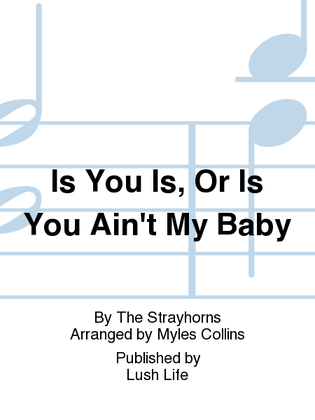 Book cover for Is You Is, Or Is You Ain't My Baby