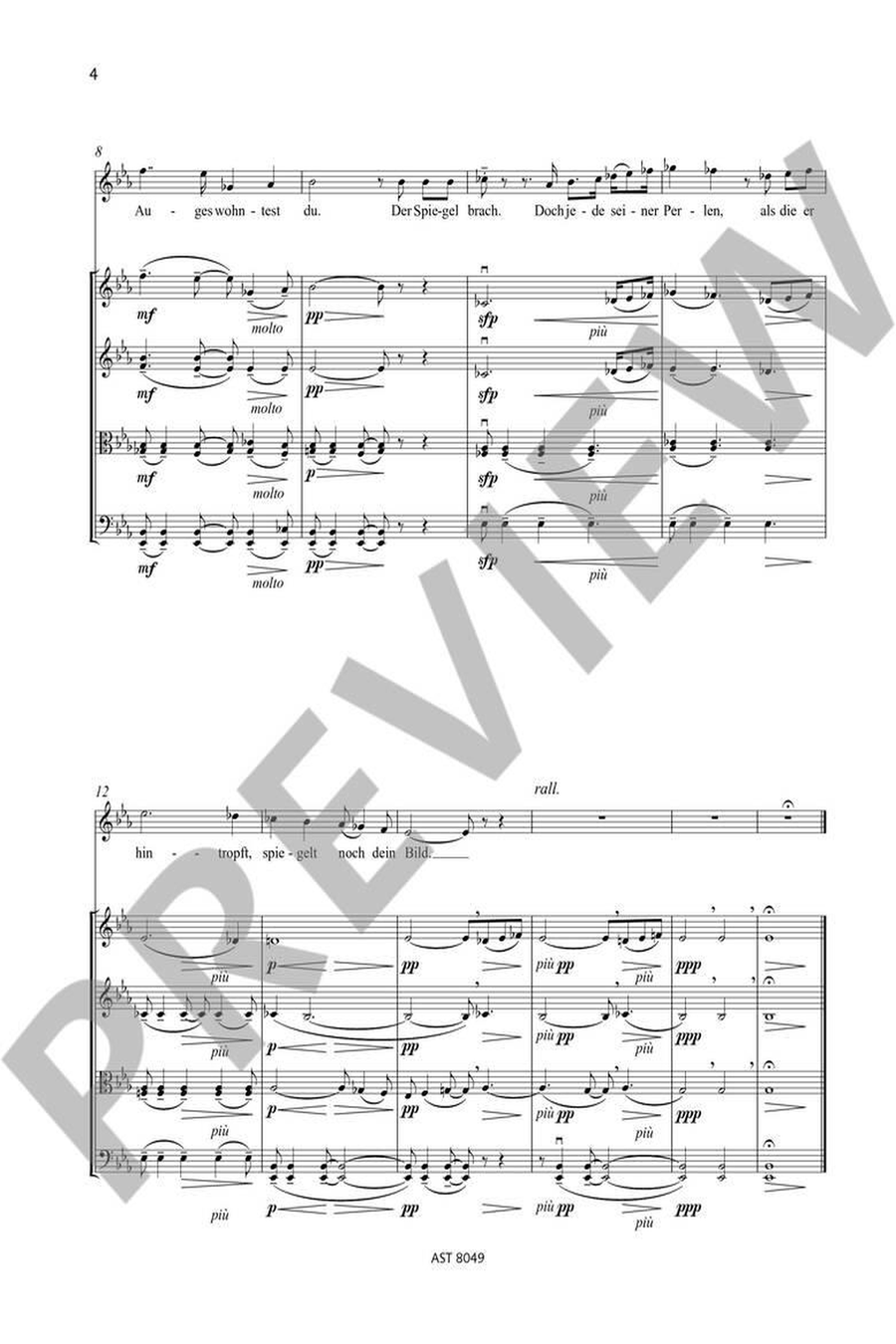 Ich und Du Es-Dur op. 25 String Quartet scores gallery preview page 2
