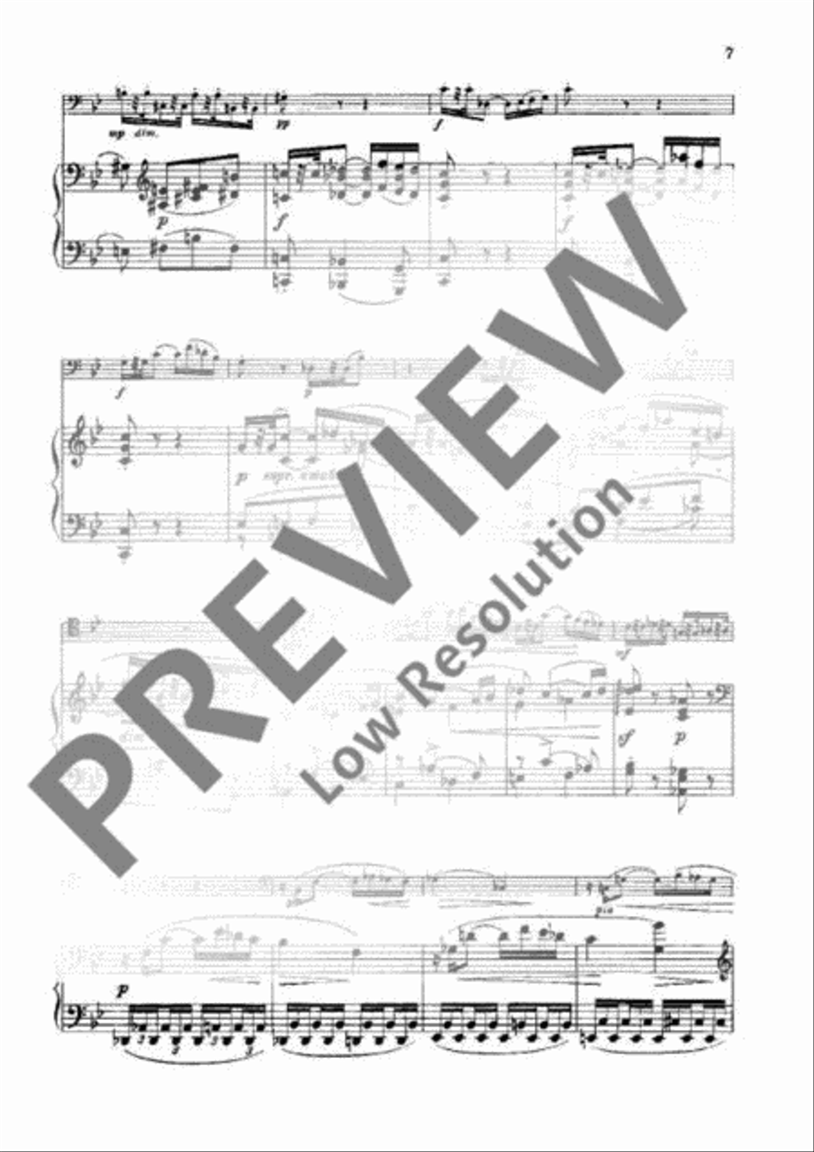 Sonata G Minor Piano Accompaniment scores gallery preview page 6