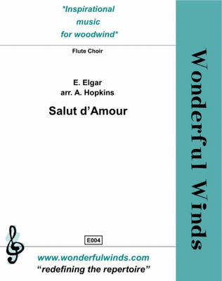 Book cover for Salut d'amour