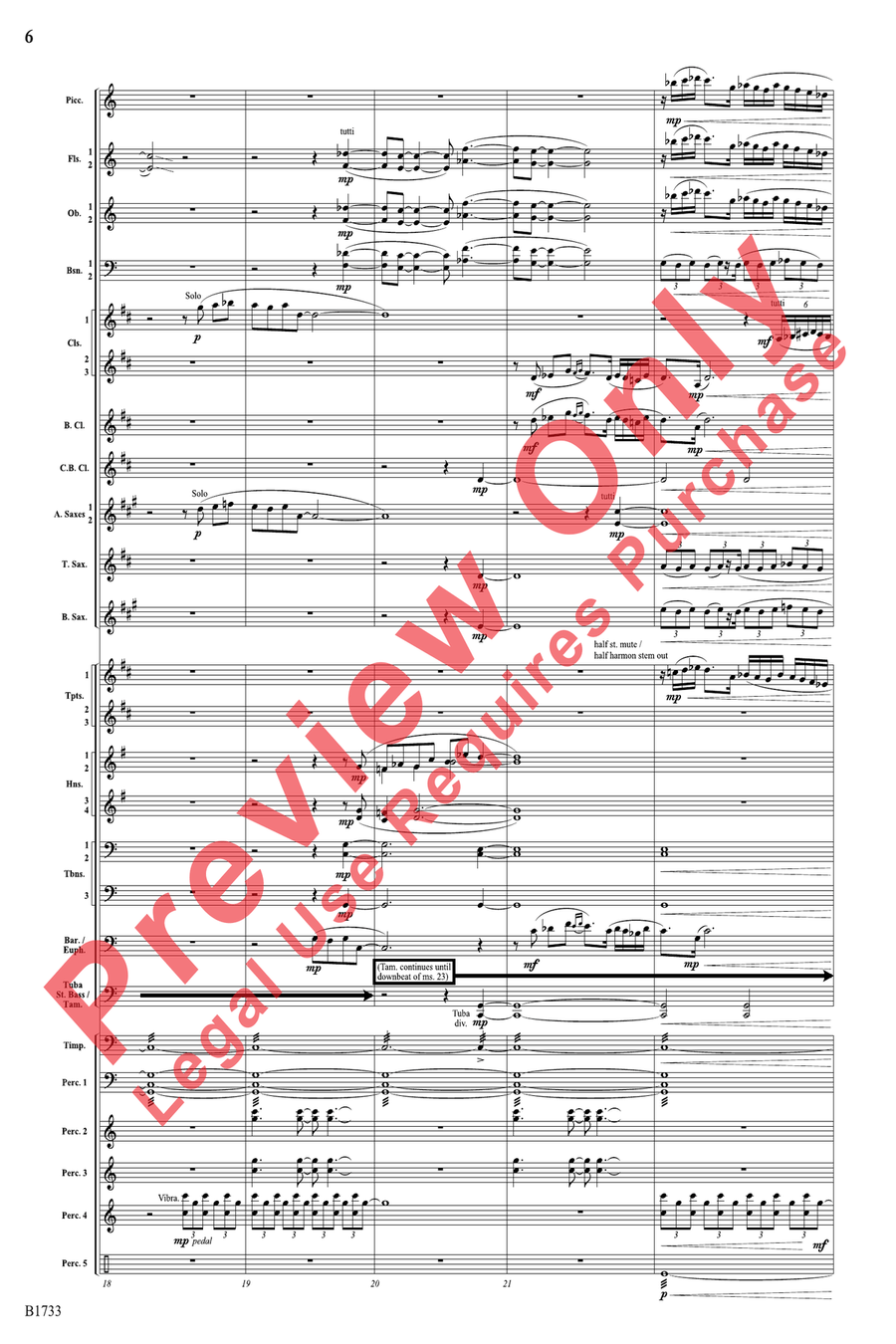 Homage to Bharat Concert Band scores gallery preview page 6