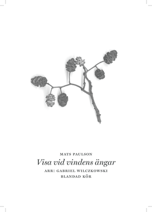 Book cover for Visa vid vindens ängar