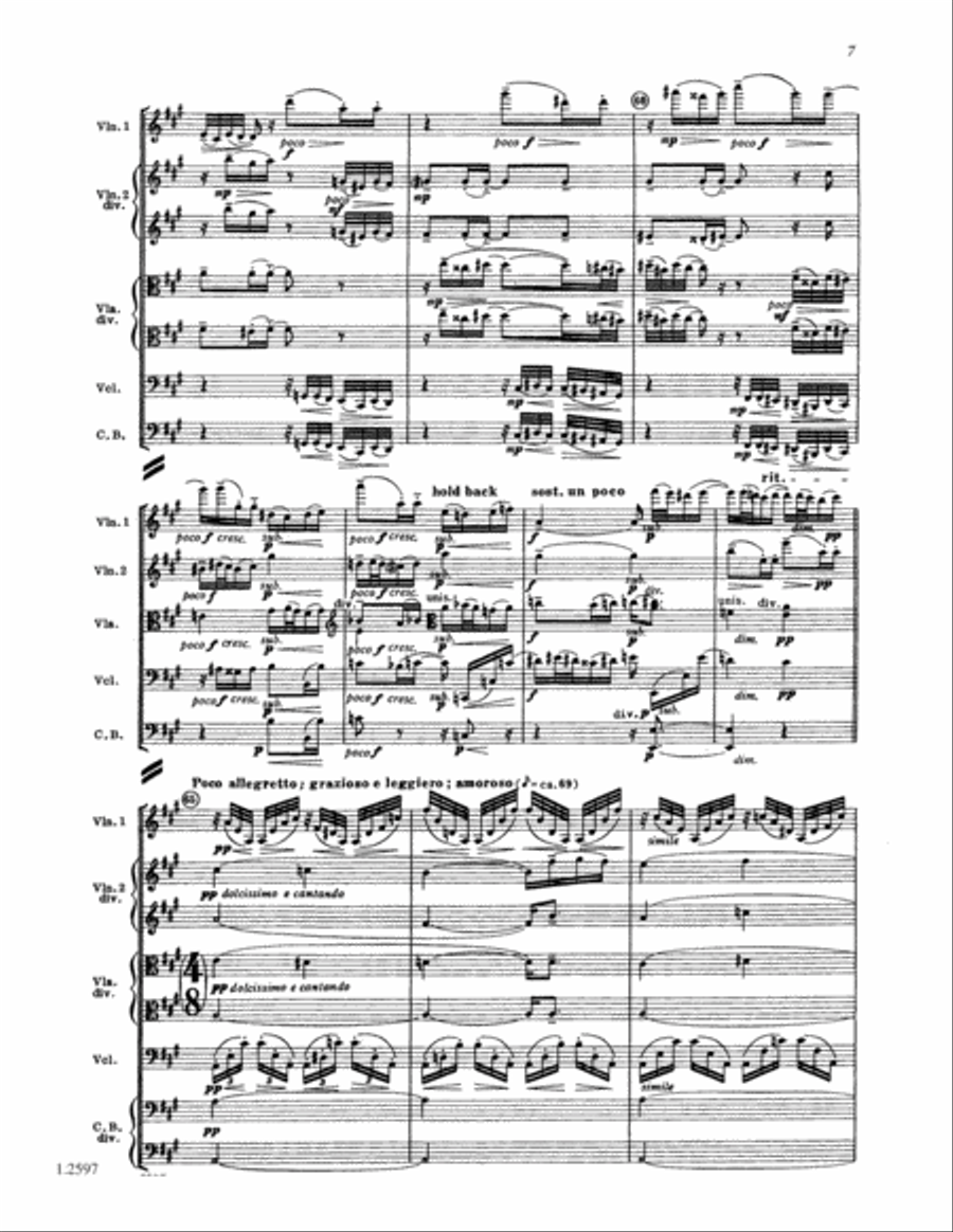 Transcendental Variations String Orchestra scores gallery preview page 6