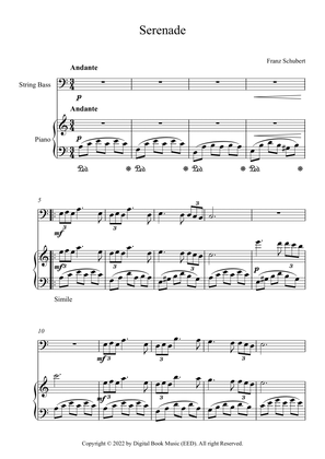 Serenade - Franz Schubert (String Bass + Piano)