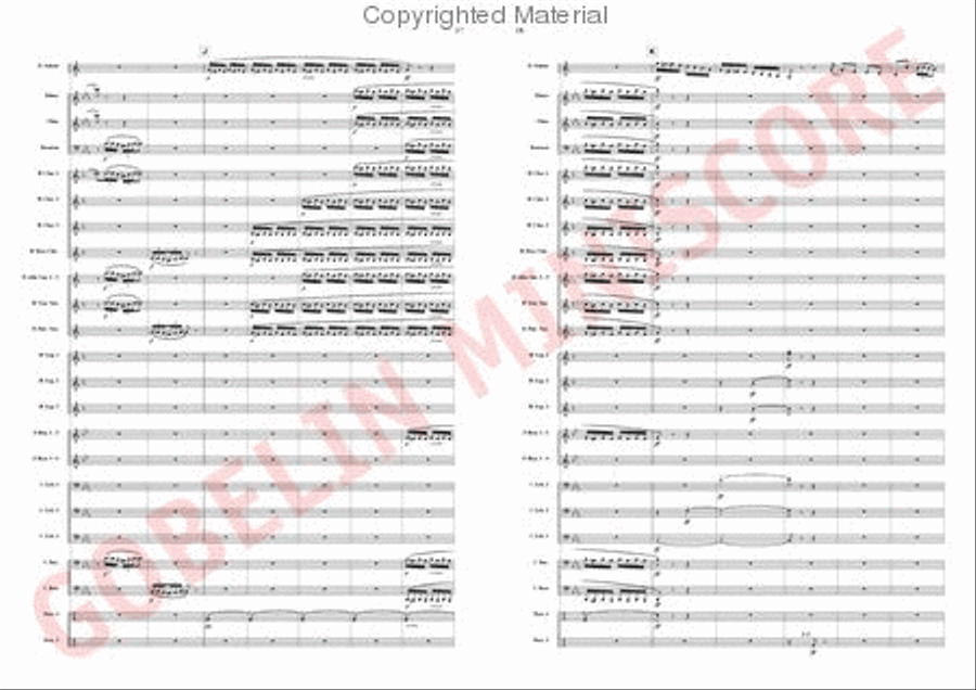 The Trouble with the Tuba is. Concert Band scores gallery preview page 9