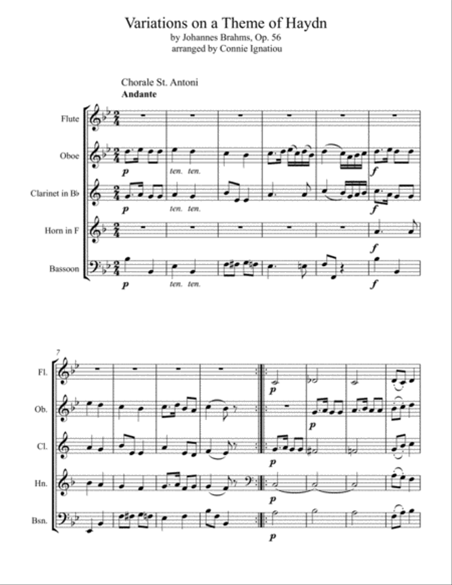 Variations on a Theme of Haydn Woodwind Quintet scores gallery preview page 3