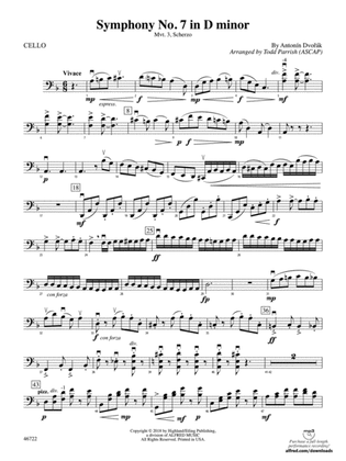 Symphony No. 7 in D Minor: Cello