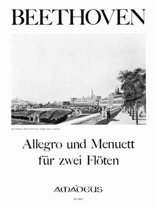 Book cover for Allegro & Menuett