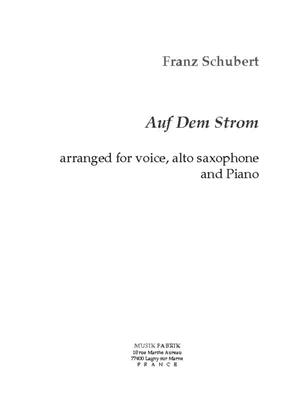 Book cover for Auf Dem Strom