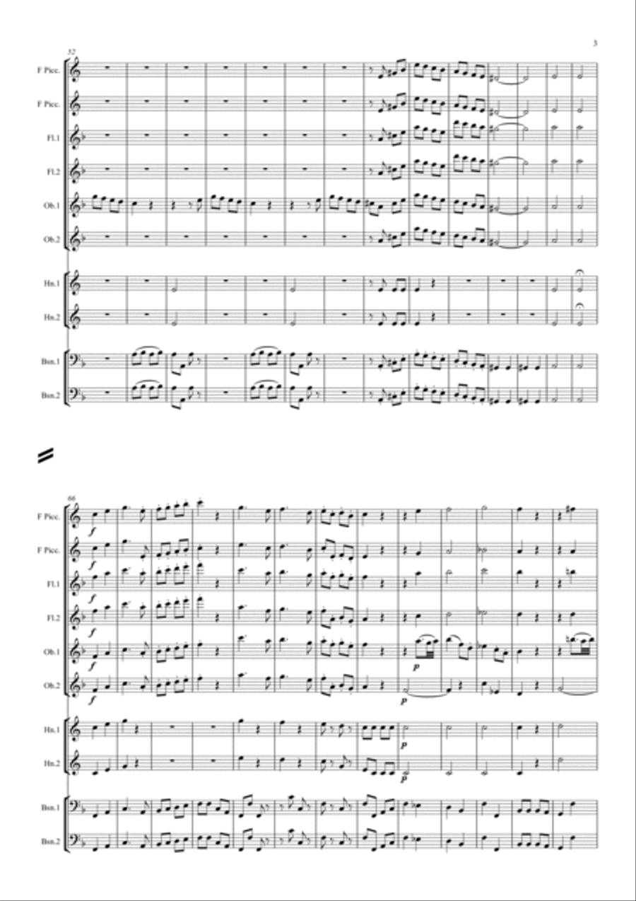 Schmittbaur: Divertimenti No.2 Allegro Molto Woodwind Quintet scores gallery preview page 3