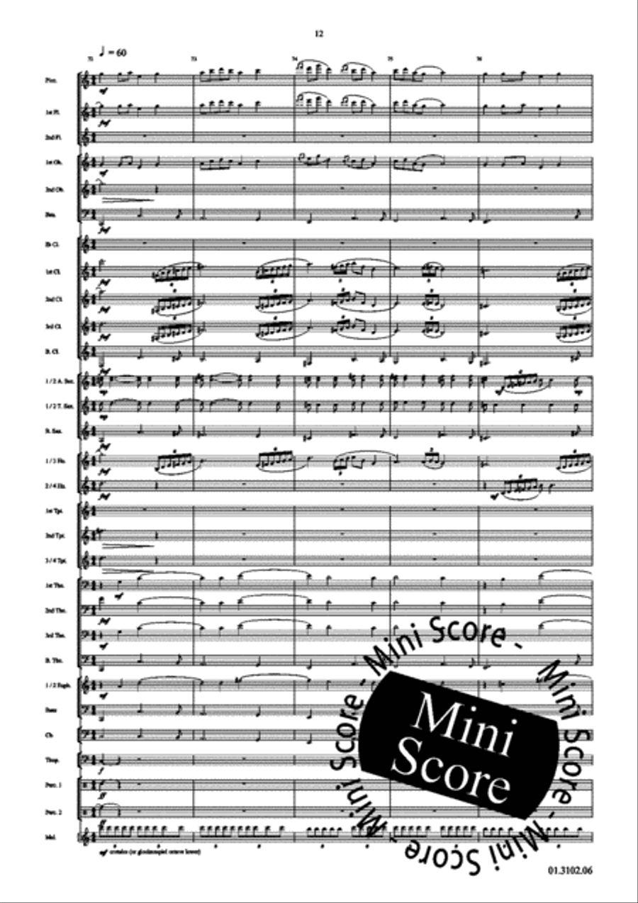 Draco Concert Band scores gallery preview page 16