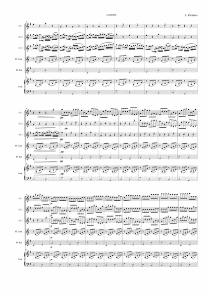 Canone di Pachelbel trascrizione per ensemble di flauti image number null