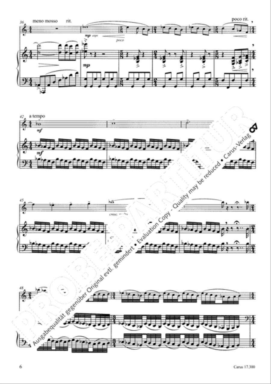 Subway Solitary Subway Solitary Flute Solo scores gallery preview page 7