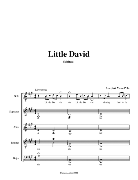 Little David